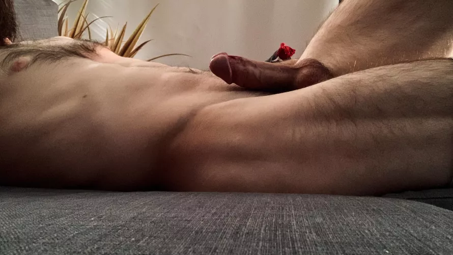 I thought this was some pretty morning lighting