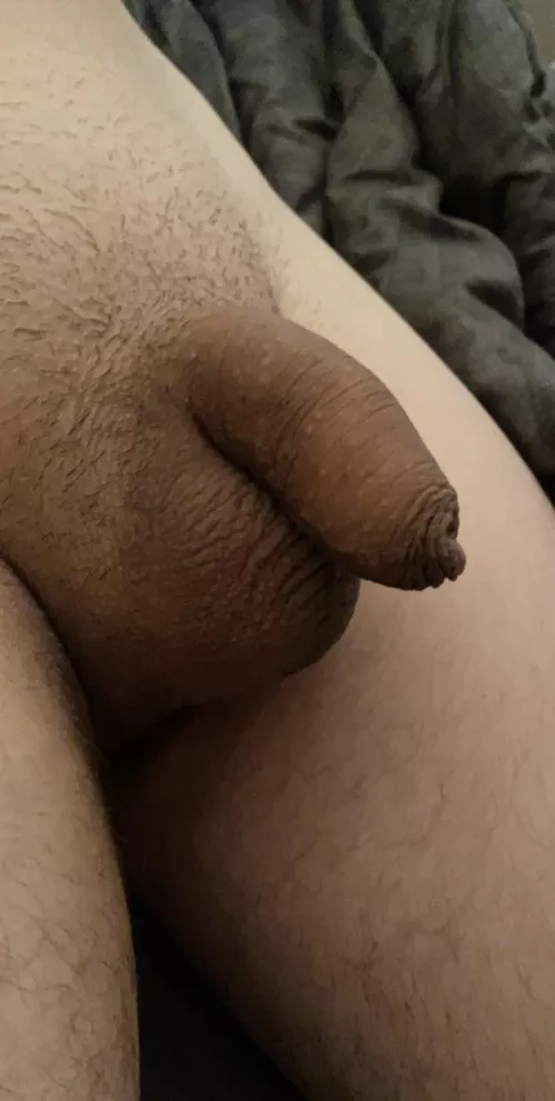 My 27yr old uncut foreskin dick, who’s wants to play?