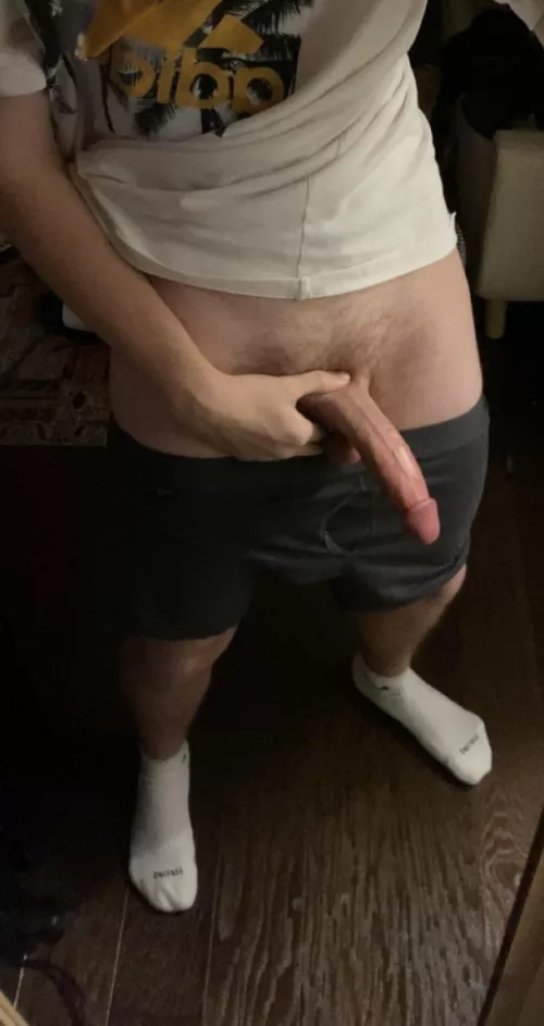 Need a good boy to play with 😉