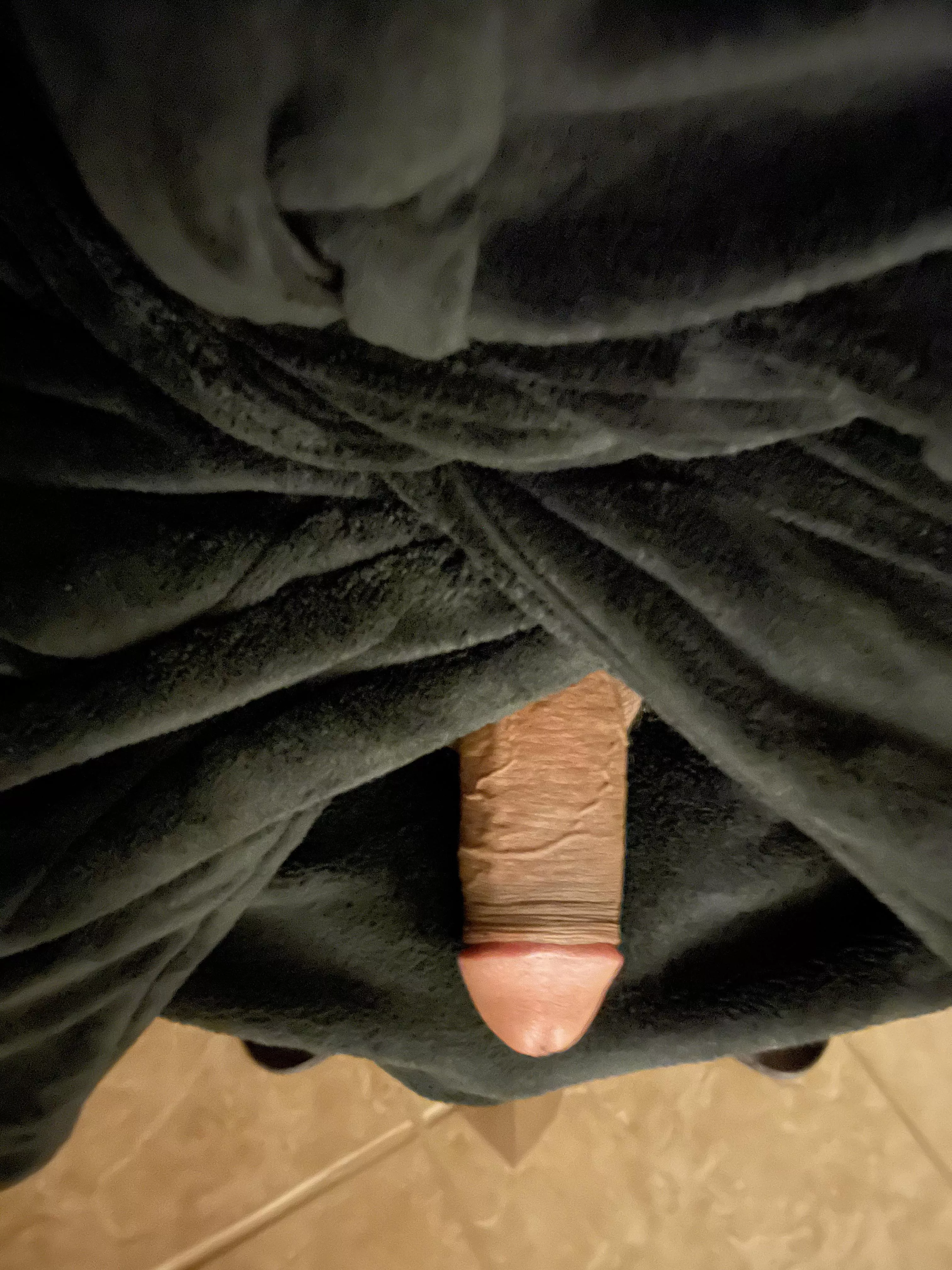 Need somewhere warm to put it