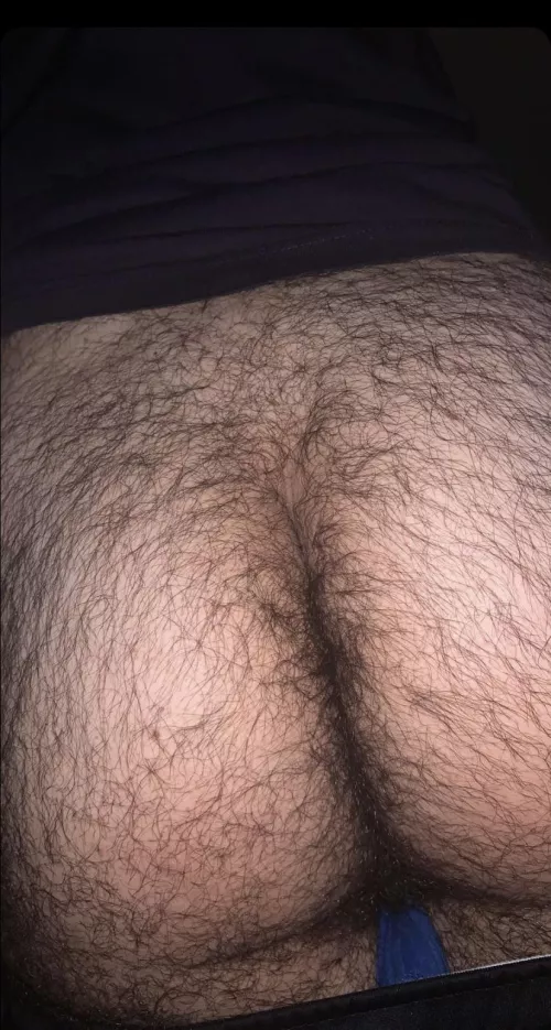 Plump, hairy, and ready for you