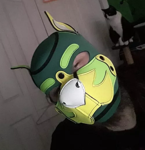 Selling Mr-s-leather hood