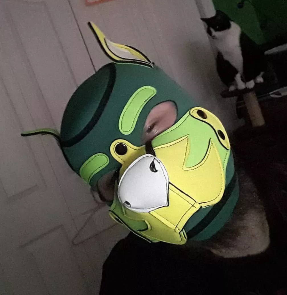 Selling Mr-s-leather hood