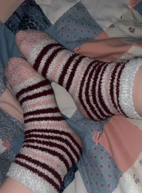 Socks are the best present (selling)