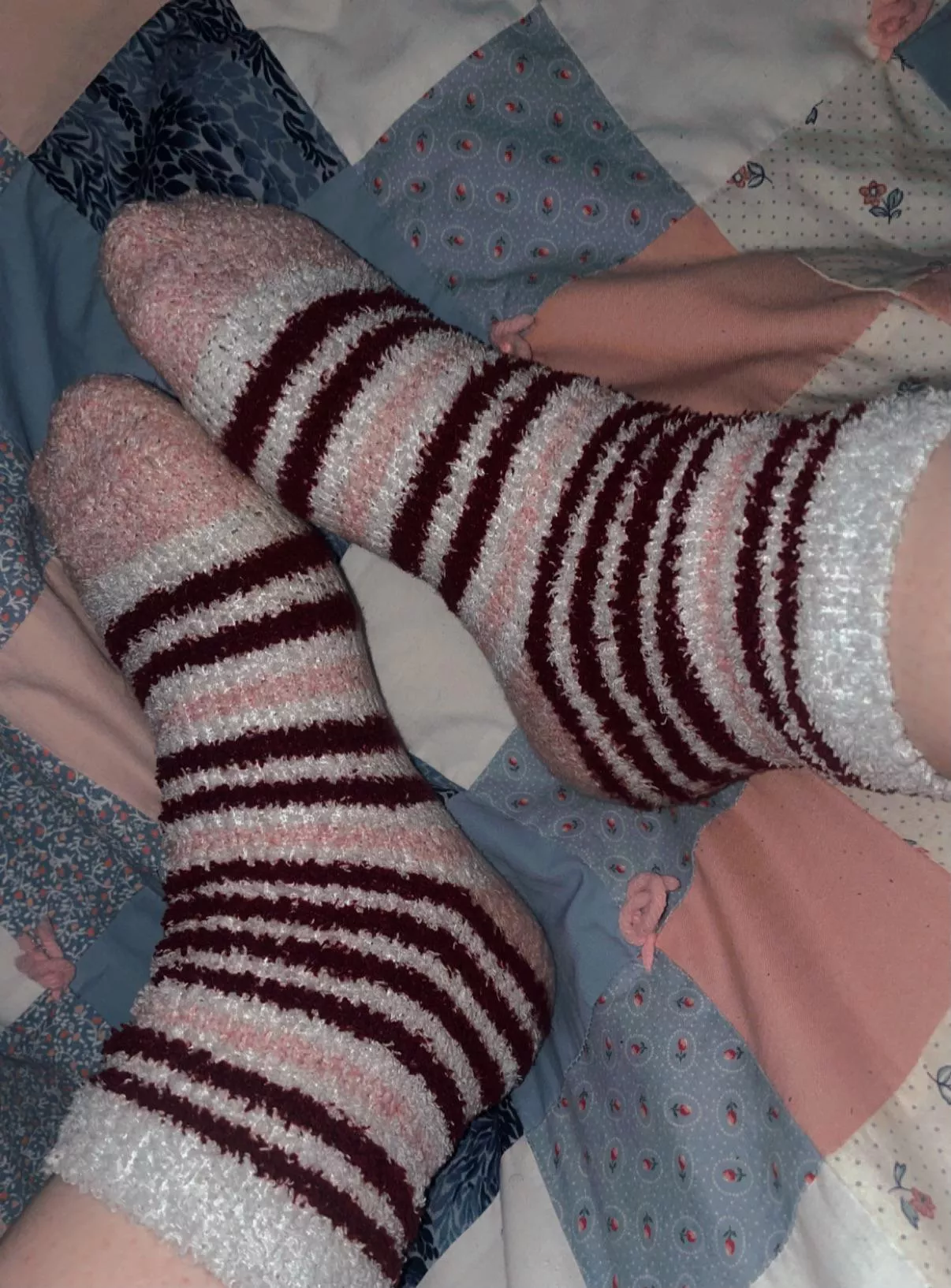 Socks are the best present (selling)