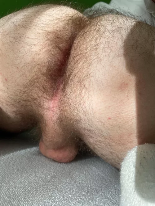 Someone needs to eat my ass