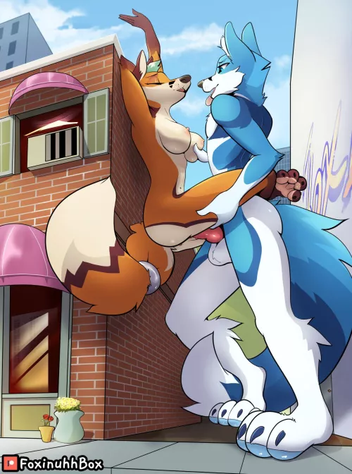 Subtlety is a fine art for big dogs in a small world [MF] (FoxinuhhBox)