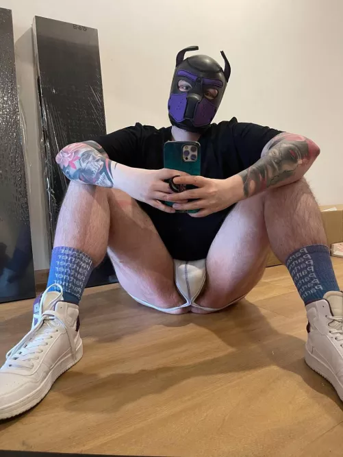 Tattooed pup looking for dom breeder