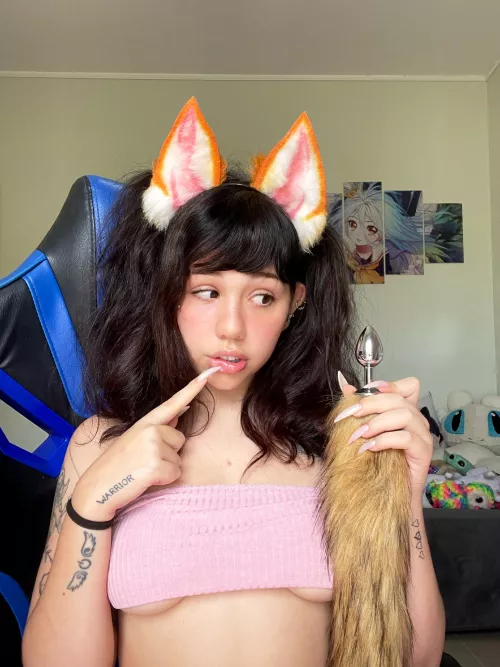 This foxy needs an owner 🥺💕