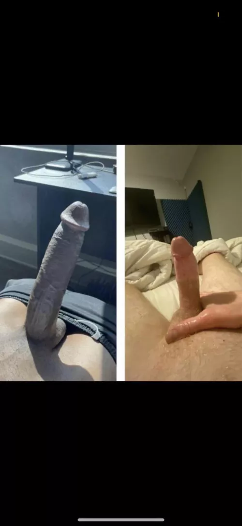 Which one is more alpha ? Left or right