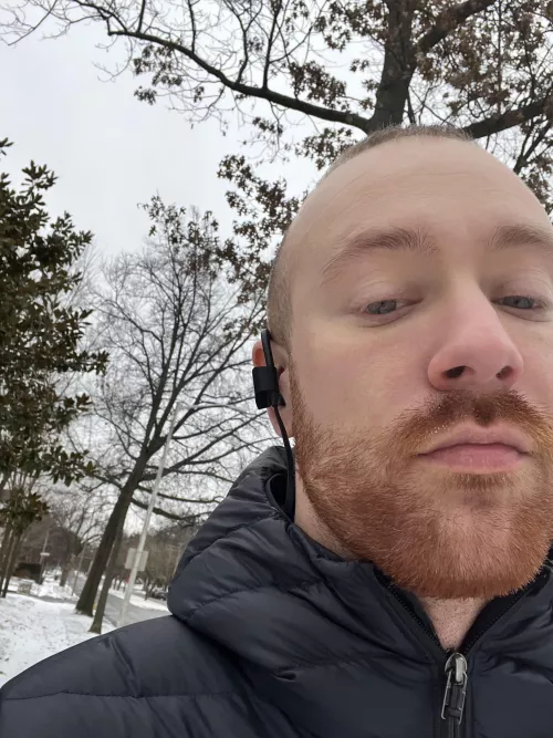 Who wants to go for a walk in the snow? ❄️🥶