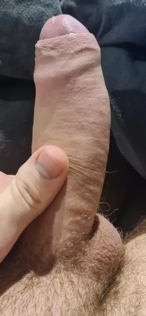 [19] Been told its big and small. Which is it?