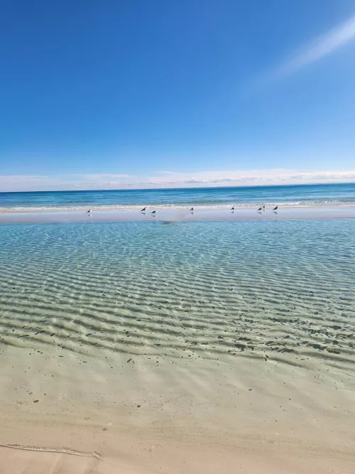 46°F but still incredible. Opal Beach, FL