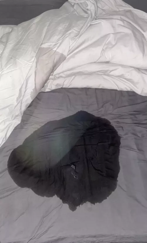 aftermath of my morning bed piss