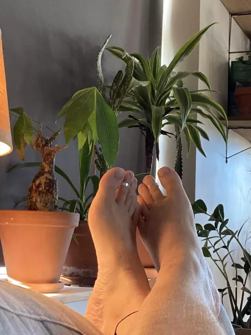 Anyone else likes plants?