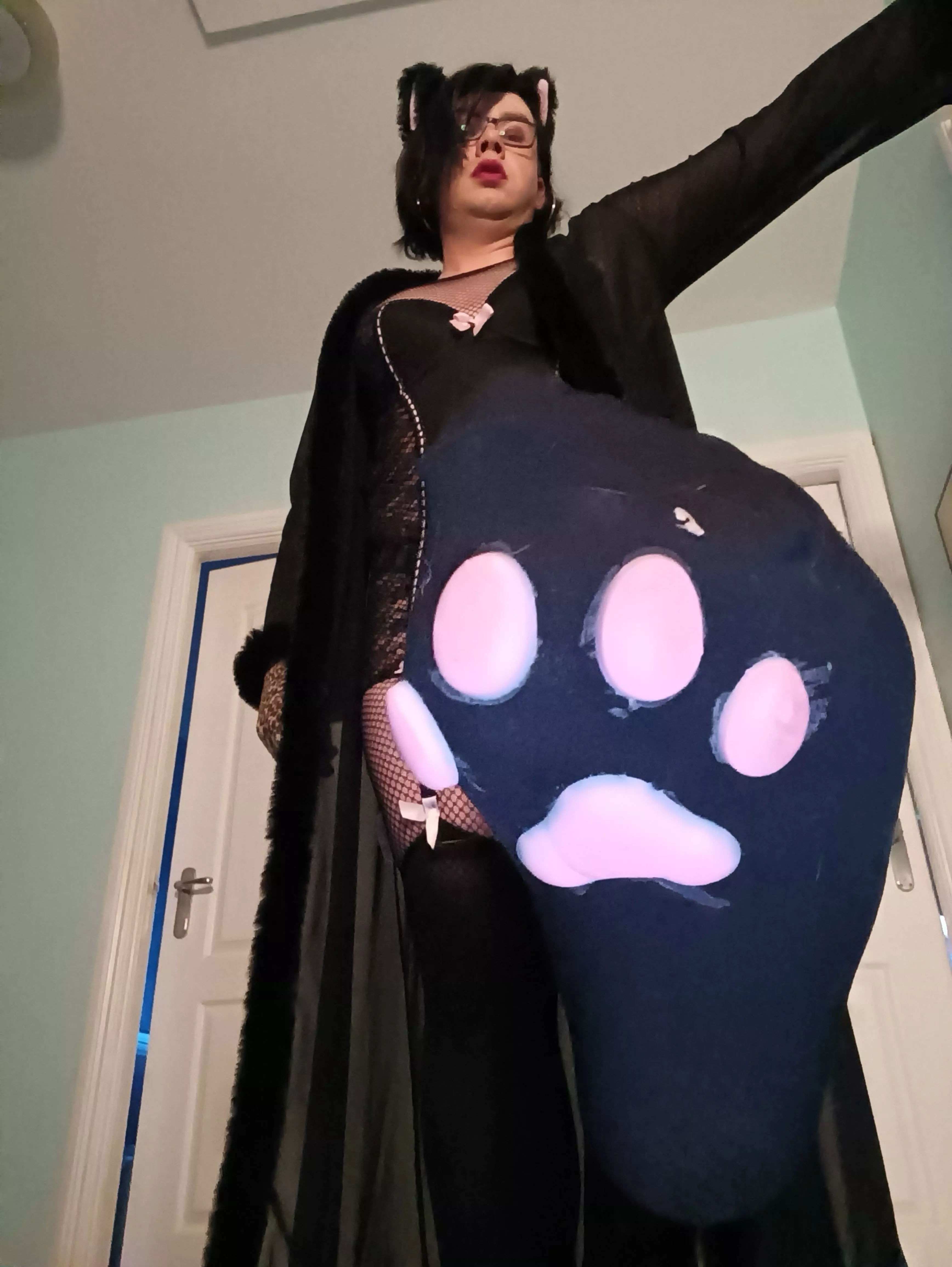 Cat girl paws anyone?