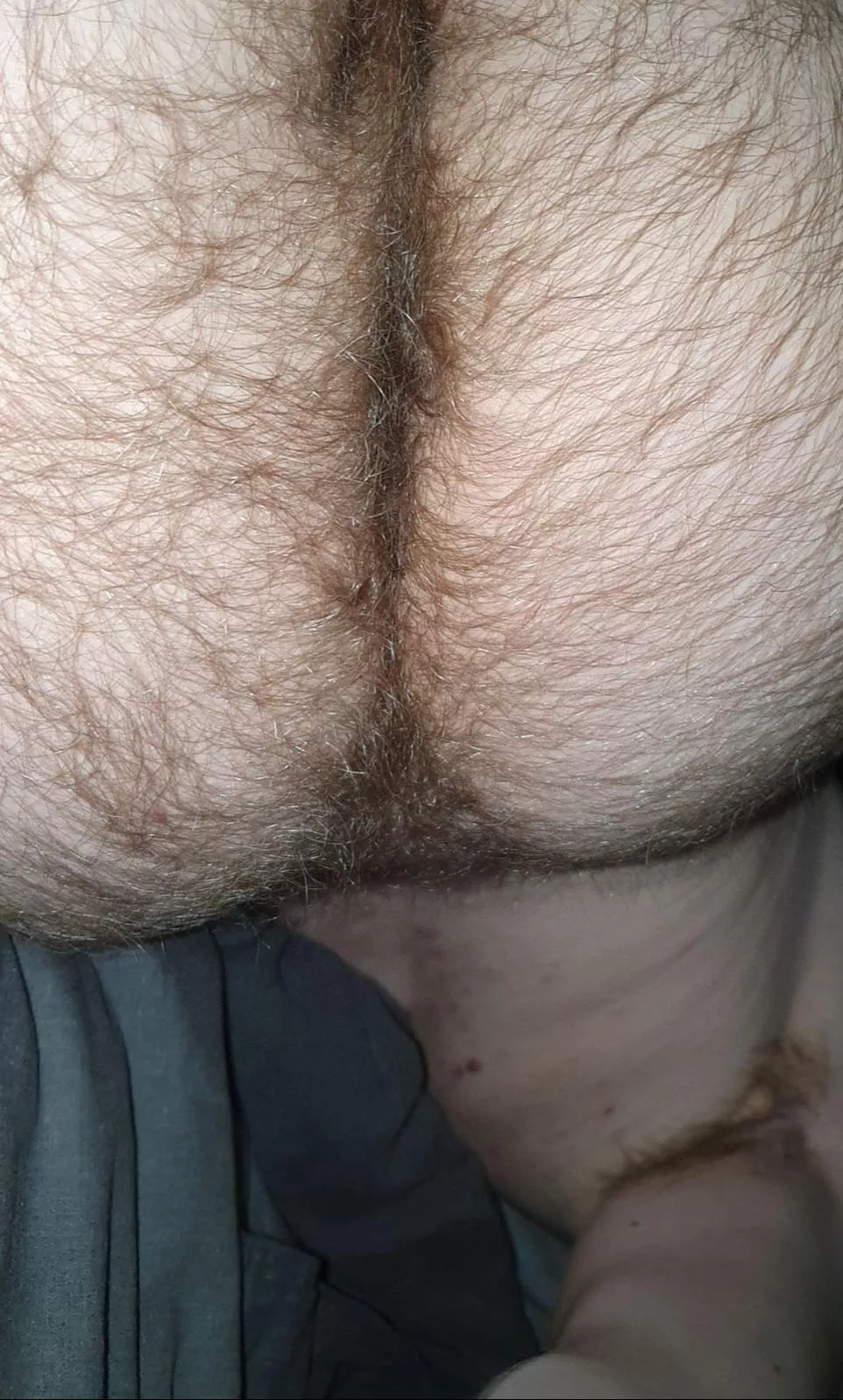 Come put your face in my hairy ass (20)