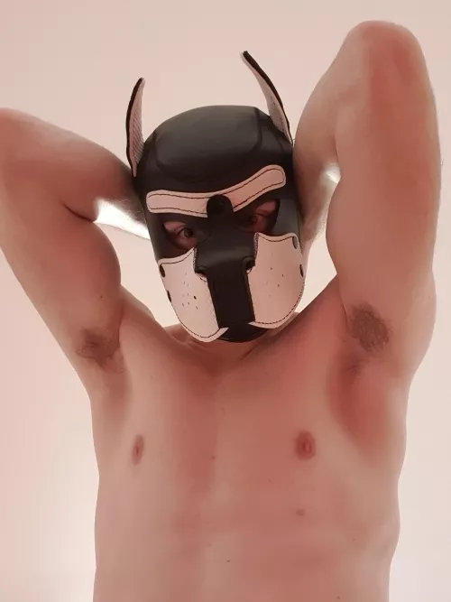 gay puppy needs some smelly alpha to obey🐾🔥