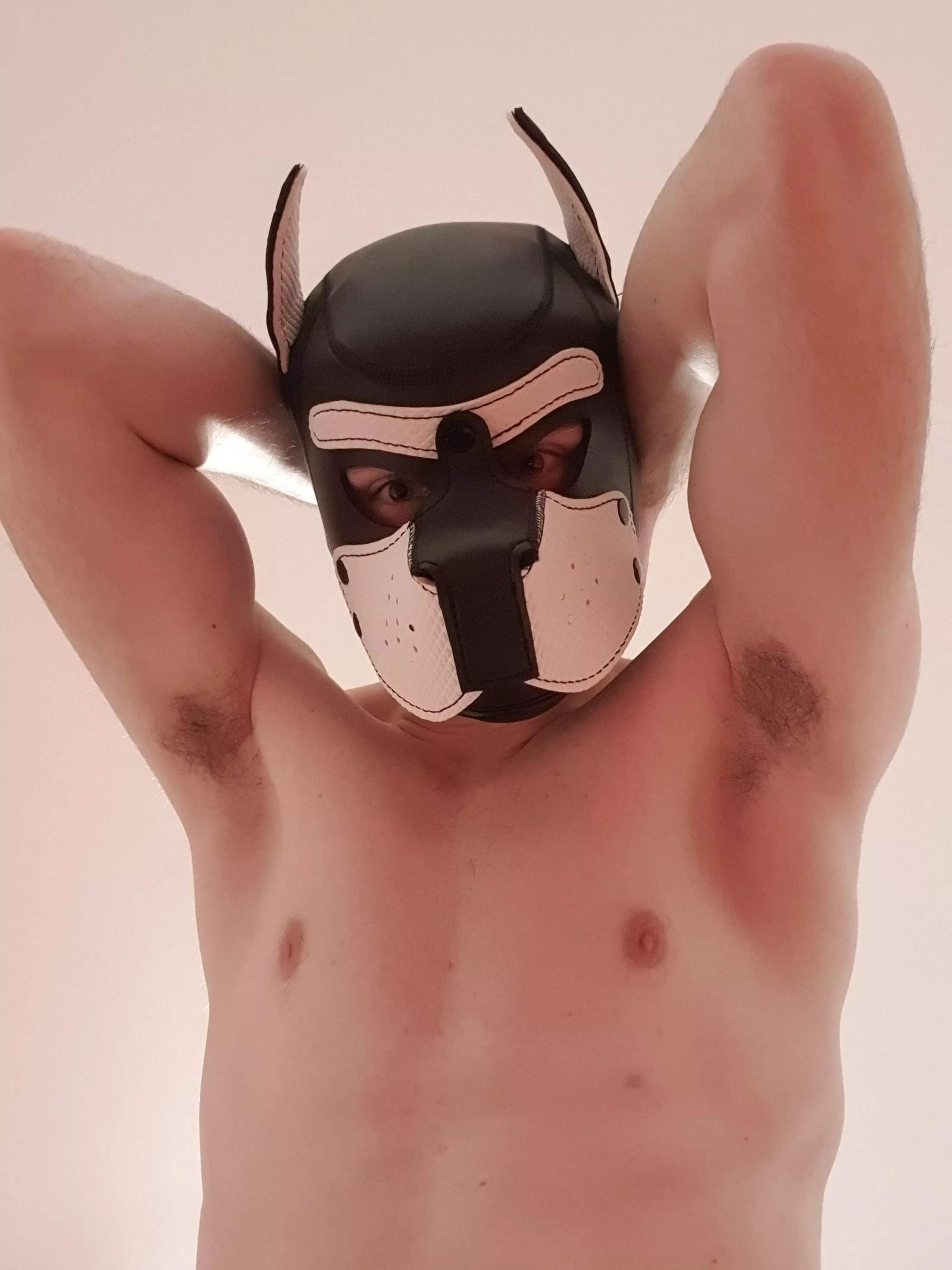 gay puppy needs some smelly alpha to obey🐾🔥