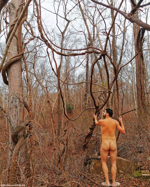 Hanging out among the trees and vines... and some concrete for good measure. Always great to reconnect with nature regardless. 🍂