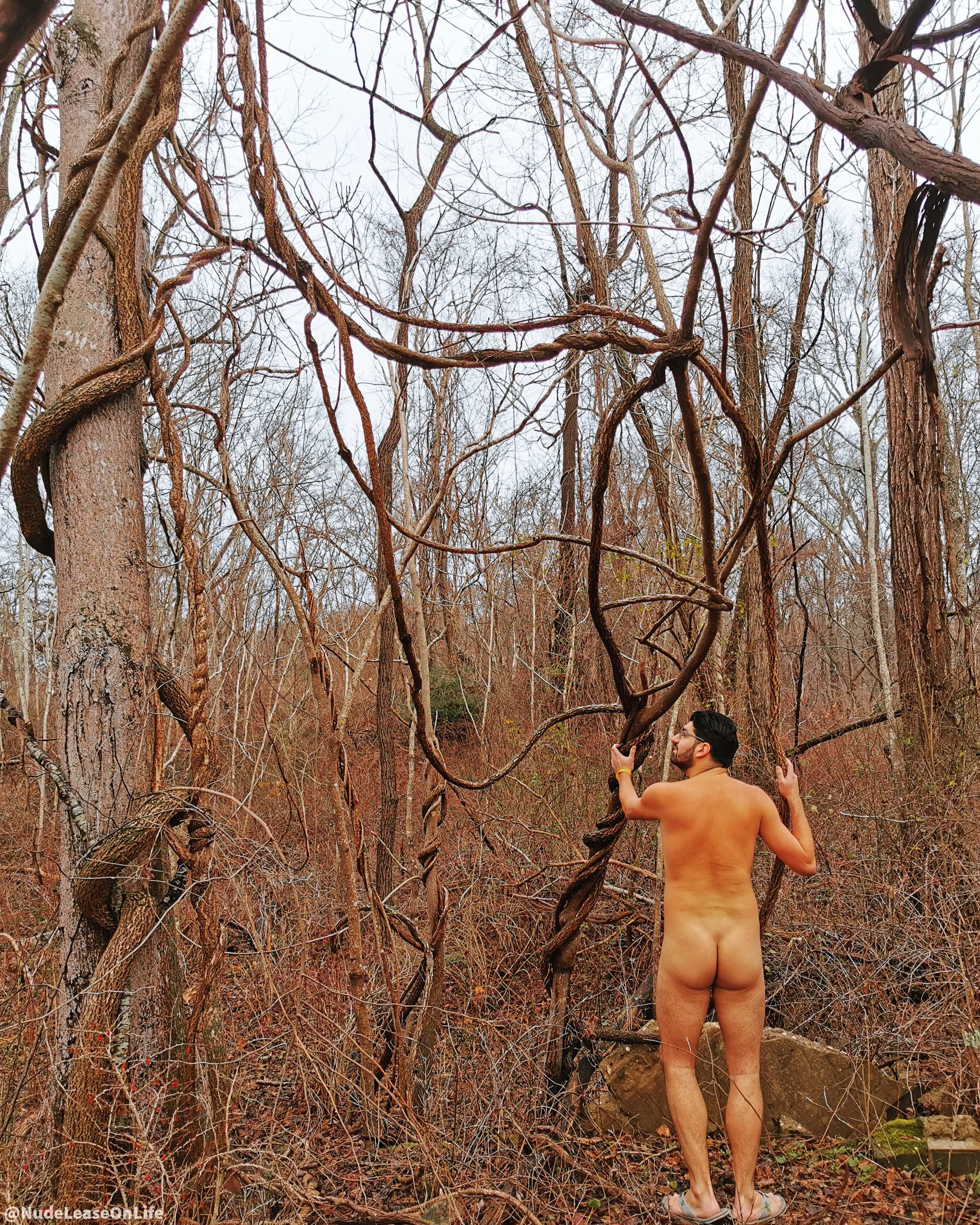 Hanging out among the trees and vines... and some concrete for good measure. Always great to reconnect with nature regardless. 🍂