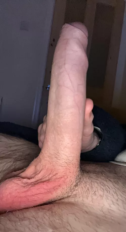 Haven’t posted in a while so here’s your surprise 😏