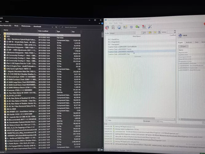 Help with MO2 & Wabbajck how do I get it all in MO2 after installing wabbajack Modlist?