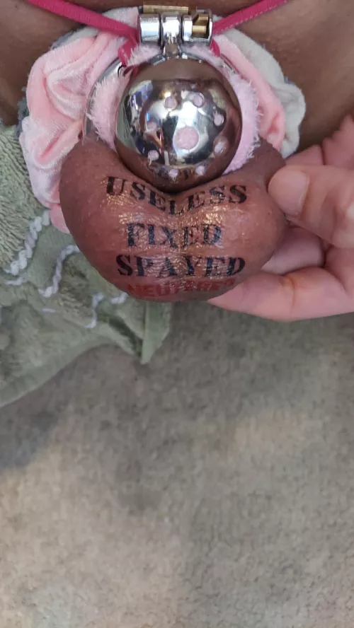 I love being a locked sissy pet 🥰