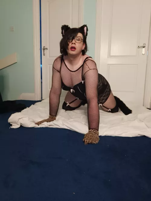 Let me crawl under your desk