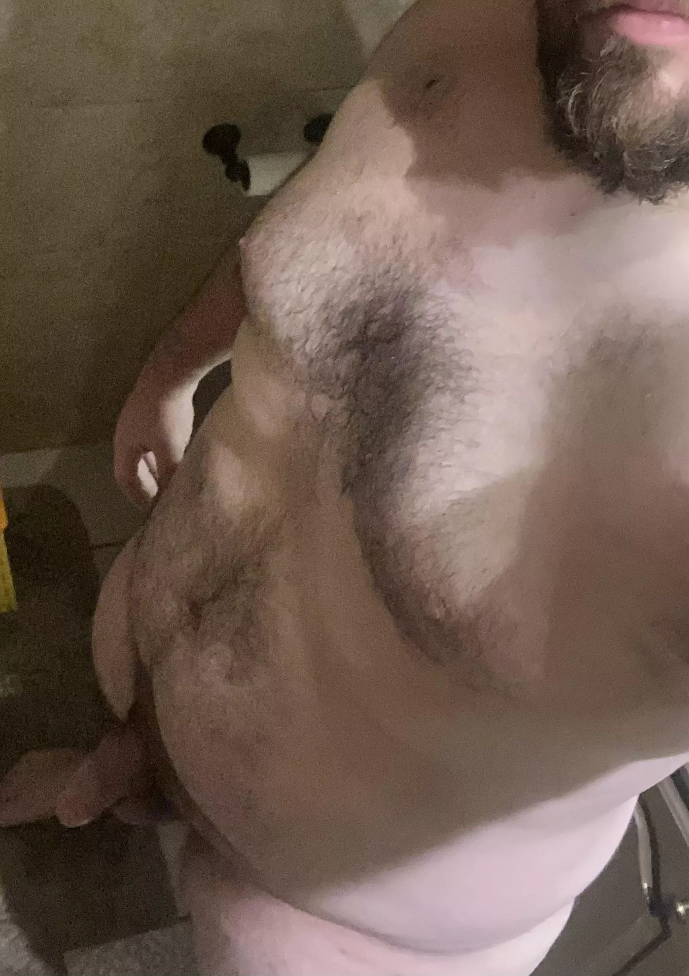 Let me know what you think of this chubby dude