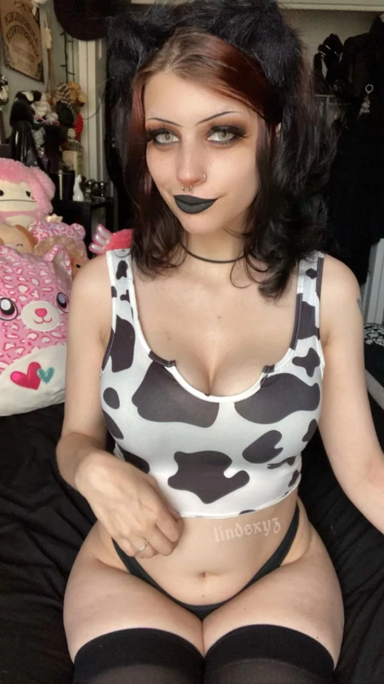mooo