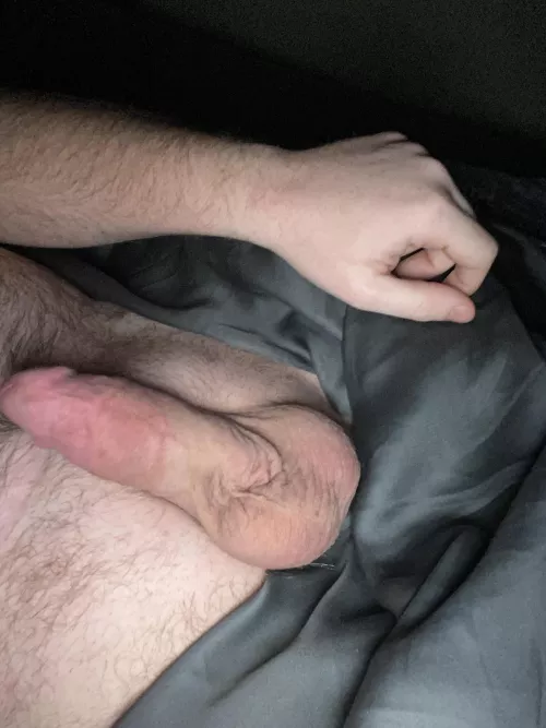 Morning wood. DMs open