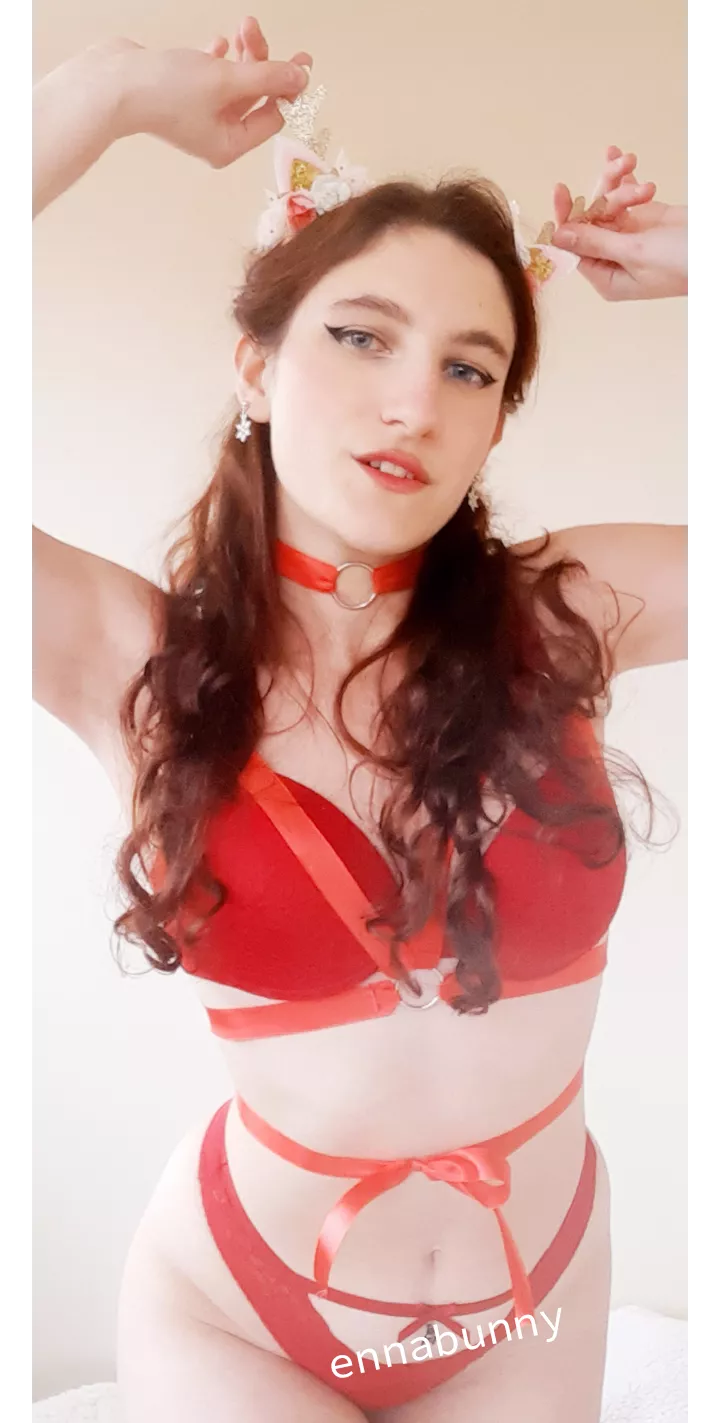 one Reindeer is lost! help me find my master