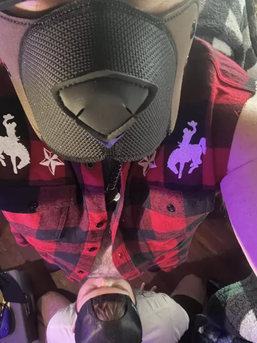 Pup Dizzy is sniffing those burr balls like they’re going out of style (video in our telegram channel)