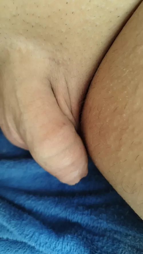 Soft forskin delicius