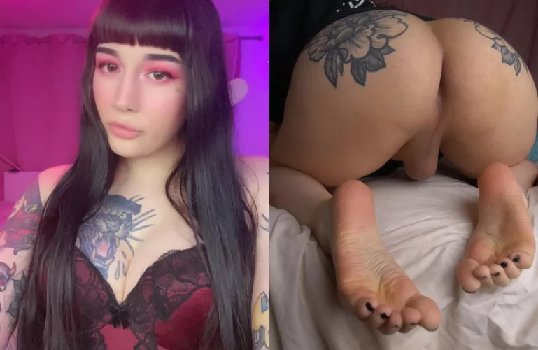 the front // the back