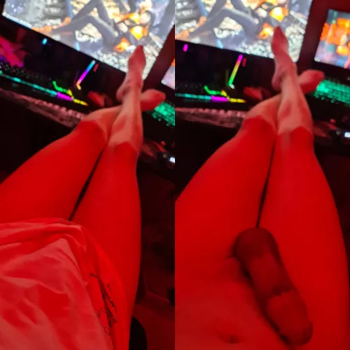 the surprise of the Christmas