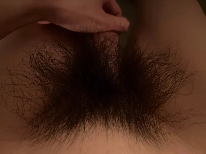 These hairy pubes need some attention tonight