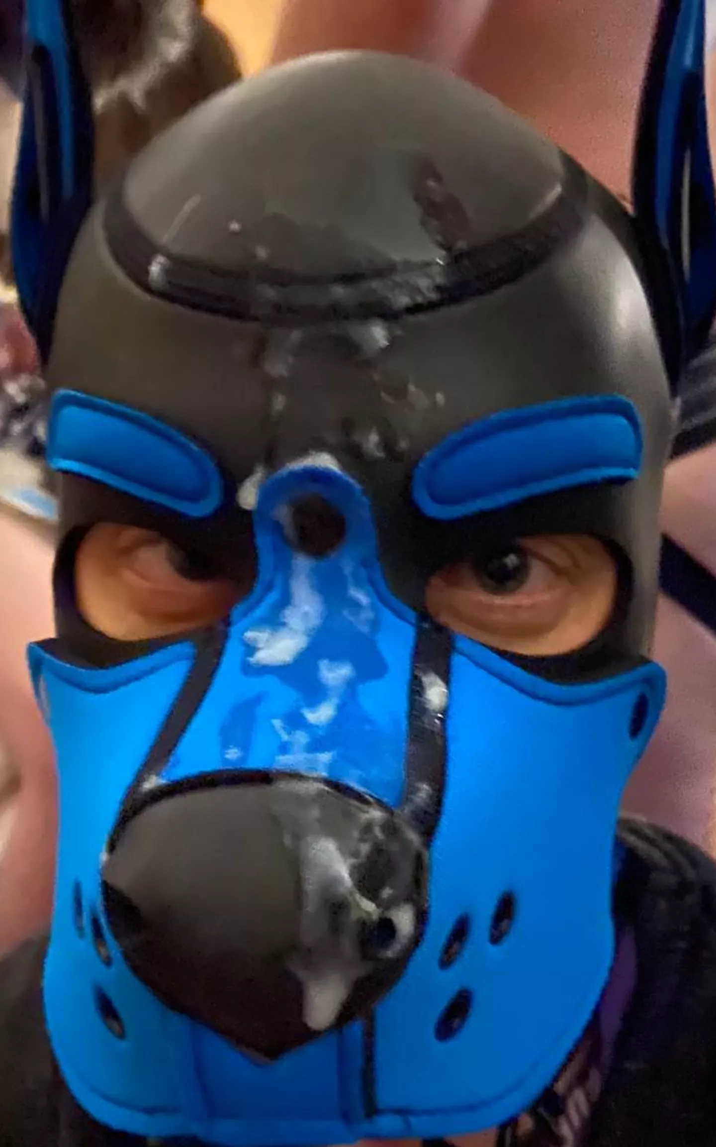 this was one load believe it or not