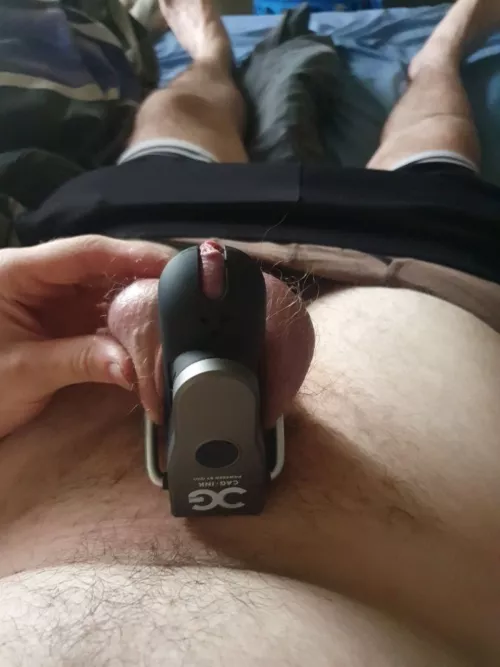 UpV if your if your shrimp 🦐 is 7 inches or lower 😋 don't forget to comment your size below & come for some humiliation