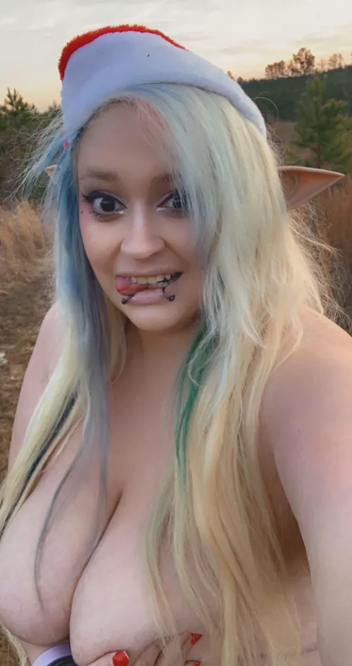 Wanting to be an elf on your shelf