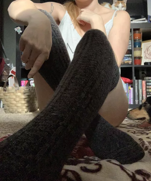 Which is better, my stockings or the ones you left out for Santa?