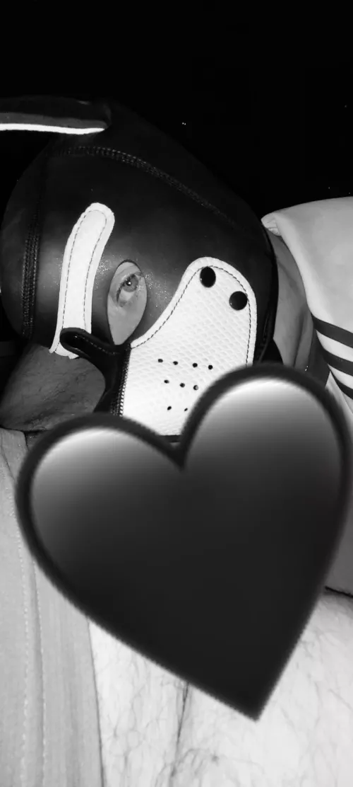 who wants the heart to disapper