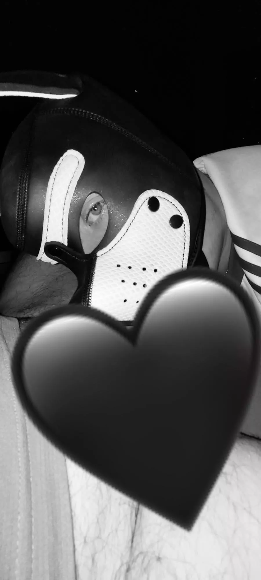 who wants the heart to disapper