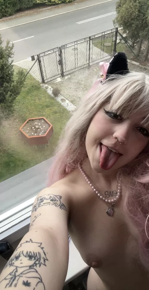 Would you breed a girl born in 2004?