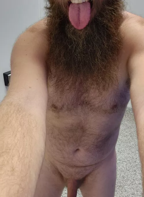 🐻🙈🤭