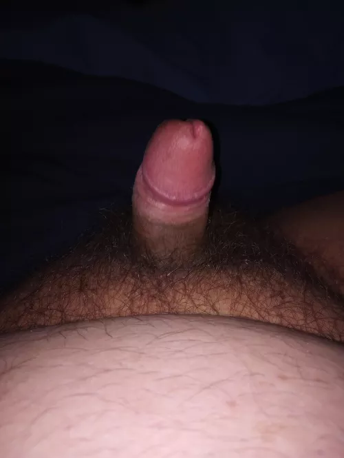(29) Laying in bed hard and horny. Anybody wanna help?