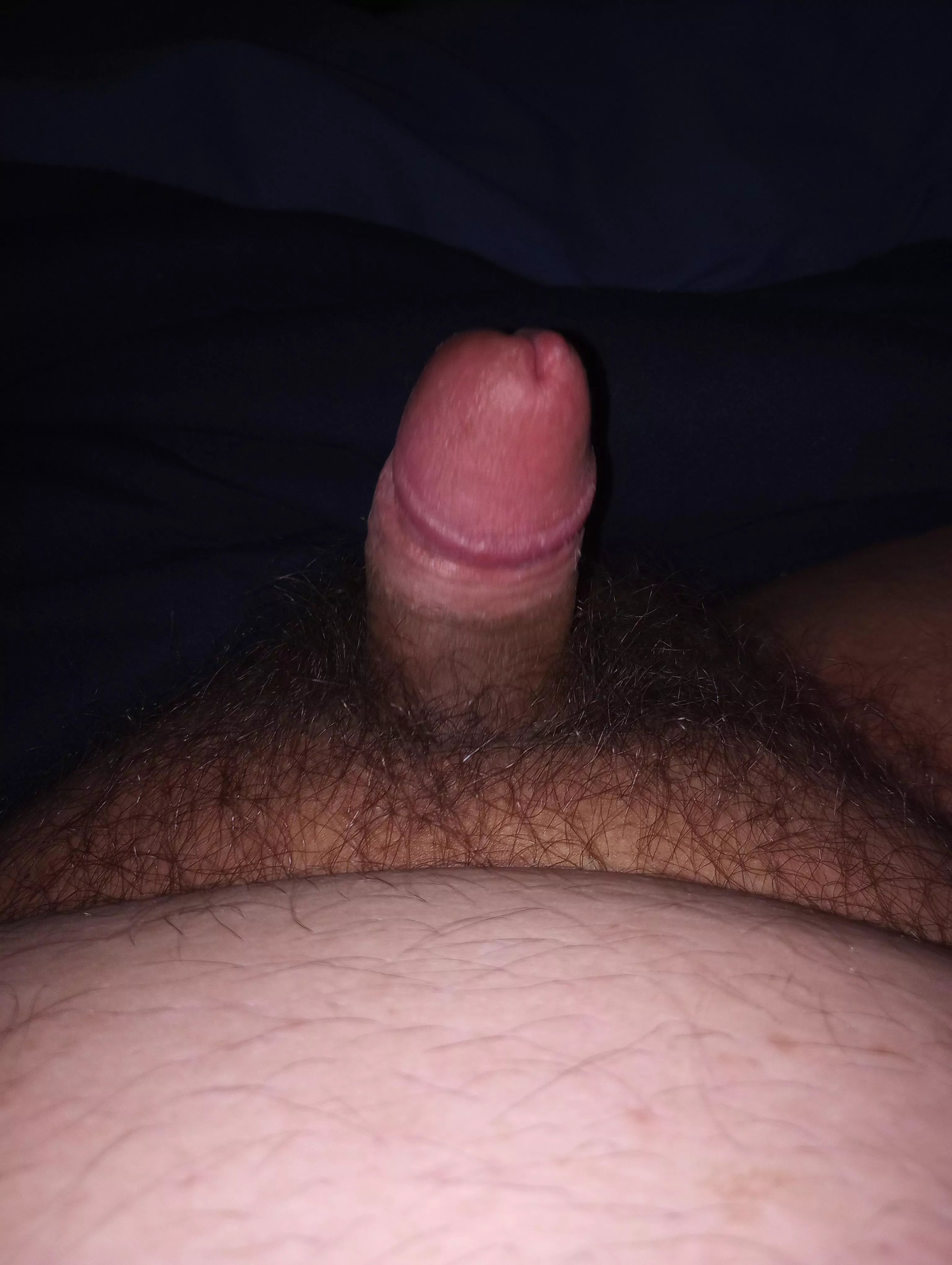 (29) Laying in bed hard and horny. Anybody wanna help?