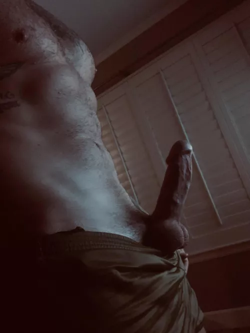 [37] Hanging around the house…