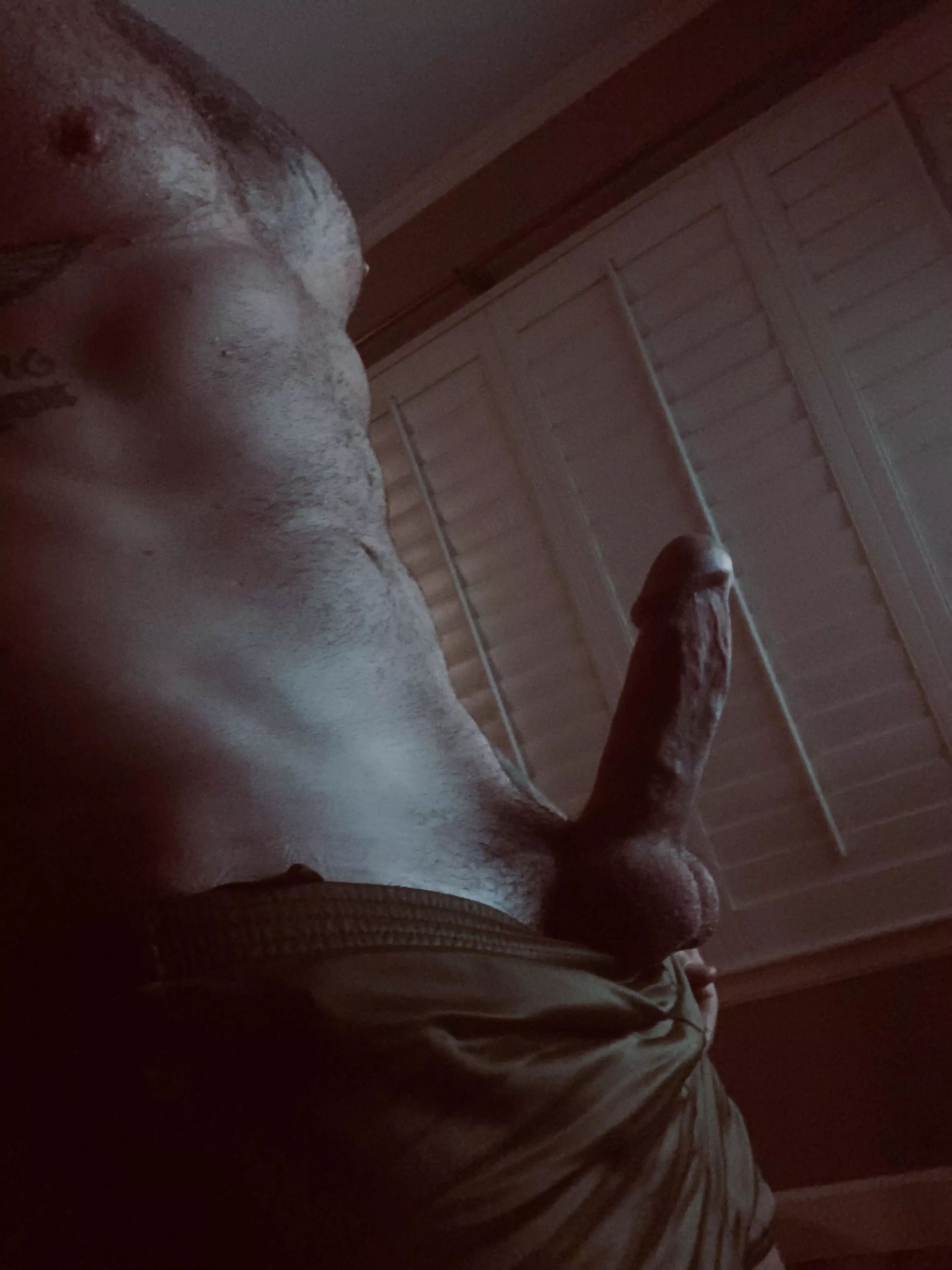 [37] Hanging around the house…